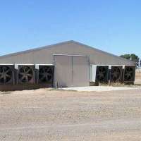 Chicken Egg Poultry Farm House Control Shed