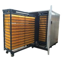 Multi Size High Hatching Rate Automatic 9856 chicken incubator hatching poultry eggs HJ-IH9856