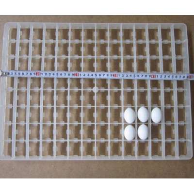 Egg Tray Plastic & Tray for Chicken eggs incubator plastic egg tray malaysia